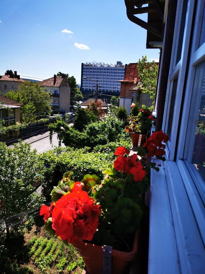 Apartament Hunter Apartment Cluj-Napoca Exterior foto